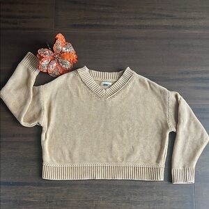 Cozy American Eagle Outfitters V-Neck Tan Sweater!